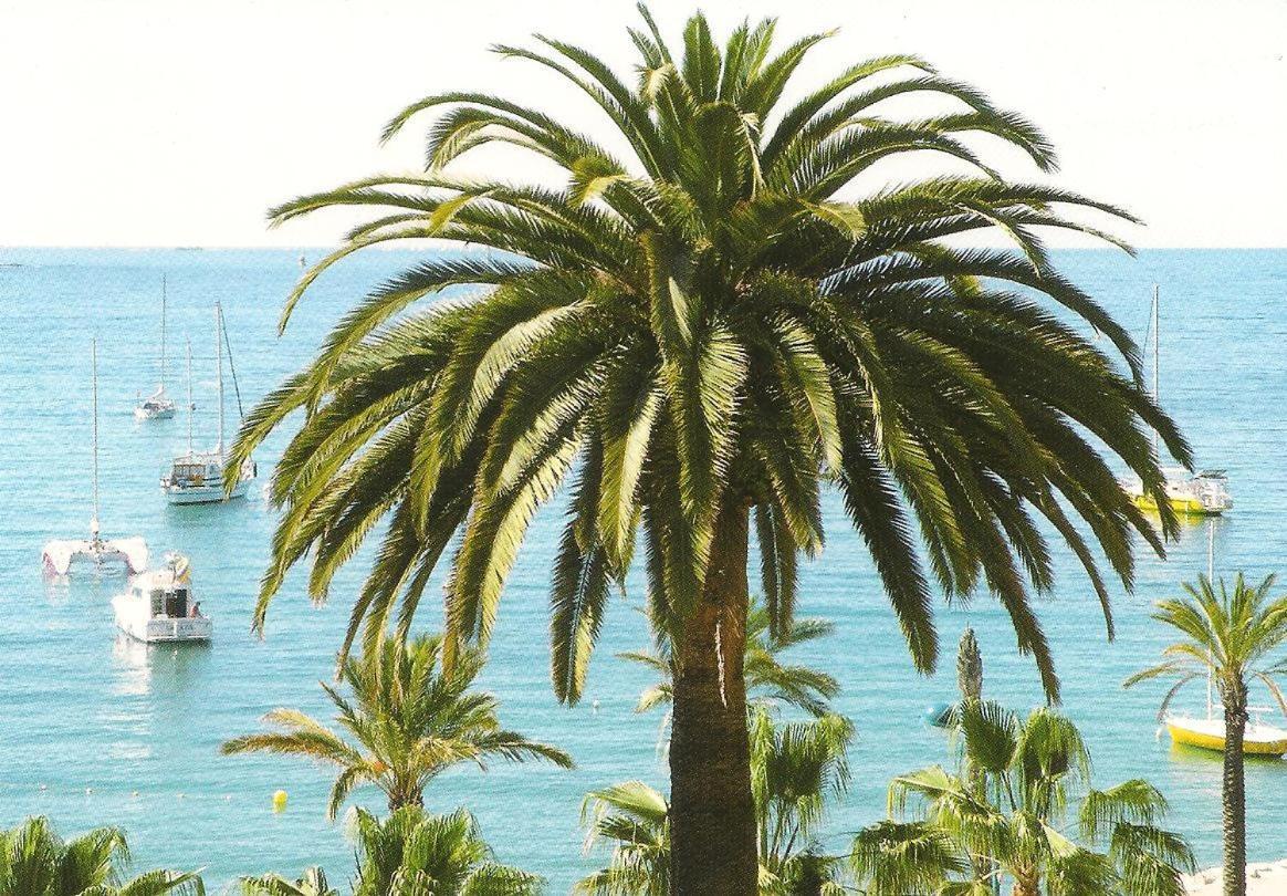 Apartamento Studio Climatise. Proche Parking, Commerces Et Mer Carqueiranne Exterior foto